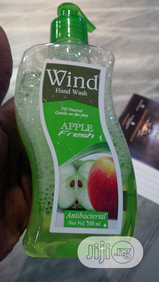 Wind Antiseptic Hand Wash – Clean, Soft Hands Arell
