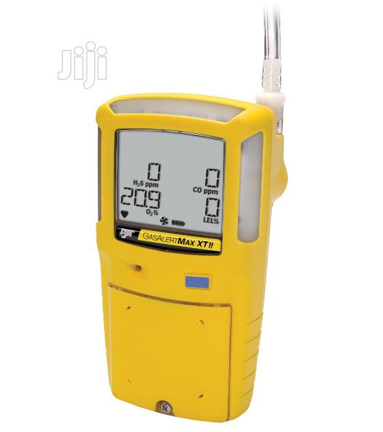 BW Gas Alert Max XTII