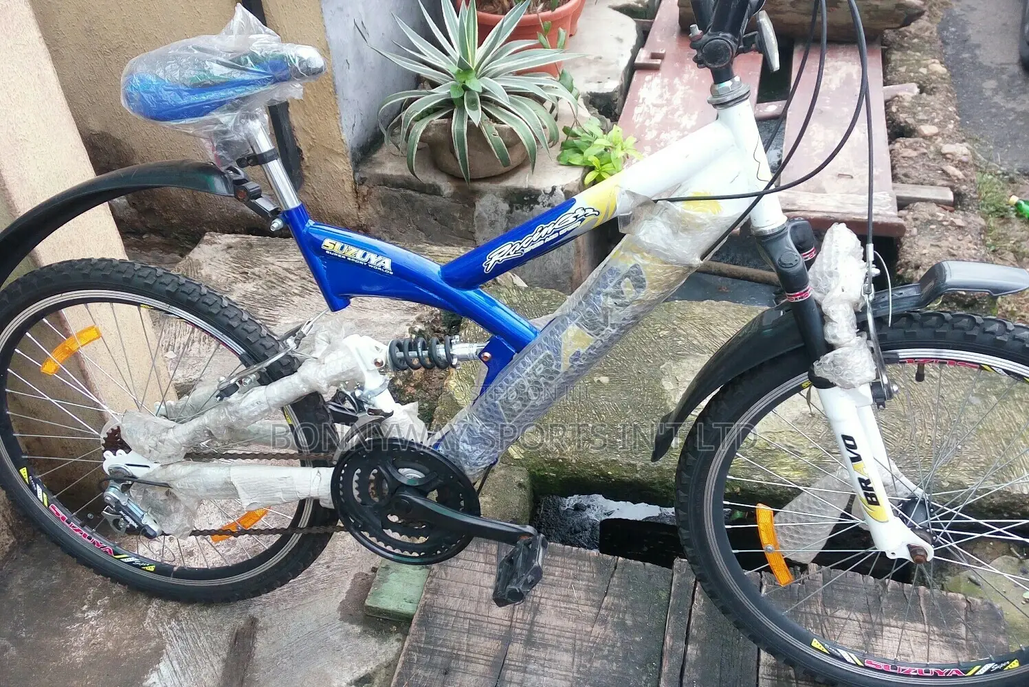 Adult Size 25 Riding Bike