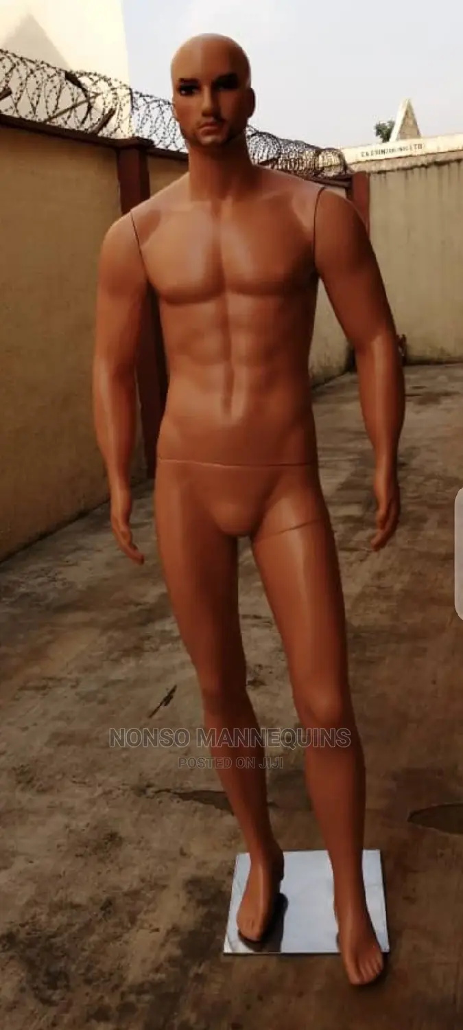 Male Bald Head Mannequin