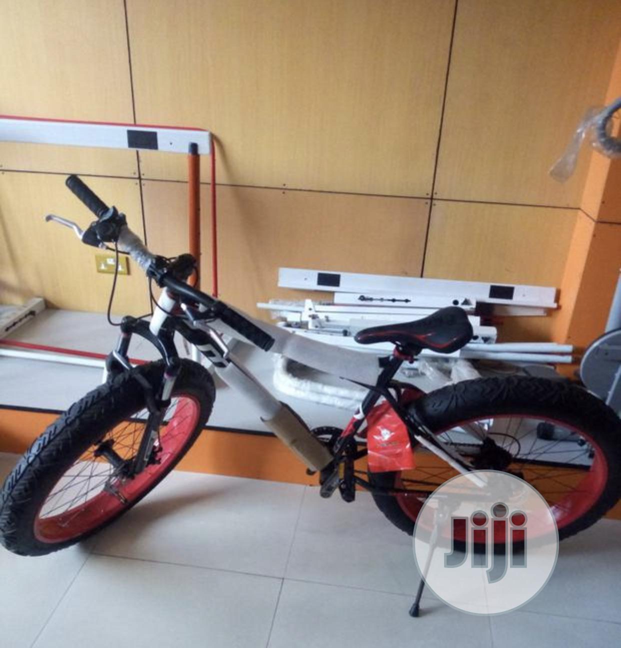 Fat Tyre Road Bicycle