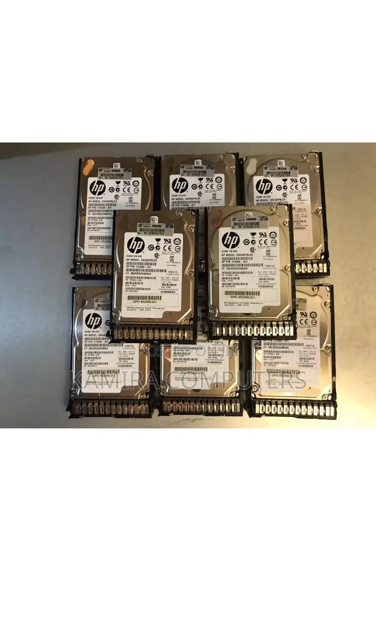 300GB SAS 2.5 HDD 10K With Hard Drive Tray Of G8/G9/G10 Servers