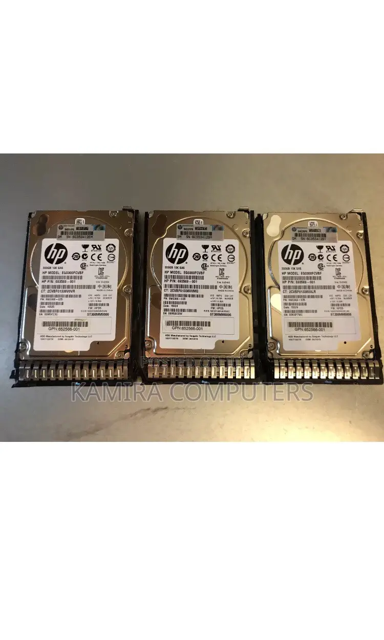 300GB SAS 2.5 HDD 10K With Hard Drive Tray Of G8/G9/G10 Servers