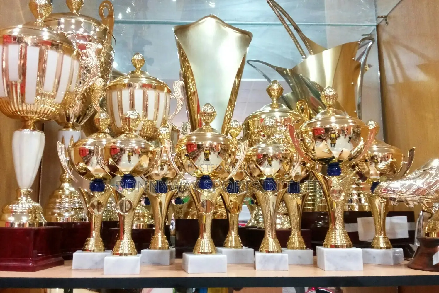 All Italian Golding Trophy In Ikeja Lagos