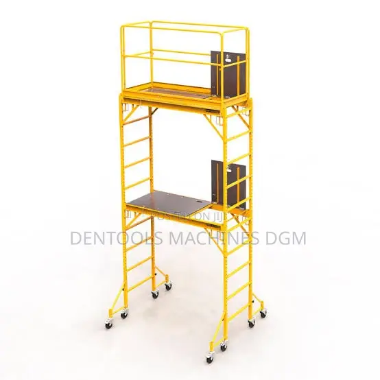 Steel Scaffold Ladder