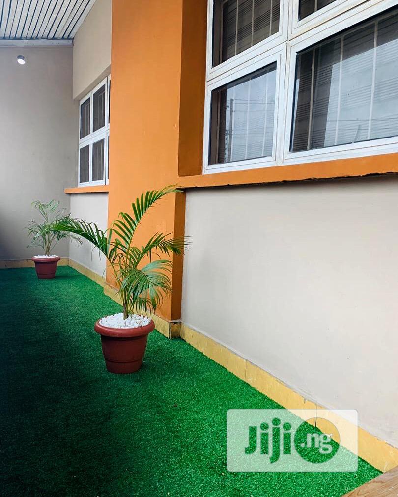 Yes We Crop Design With Grass Rugs Either Indoor or Outdoor