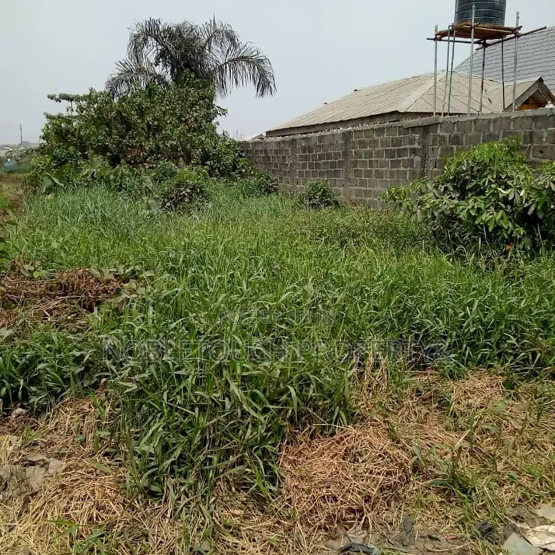 Cheap Estate Land at Agbara