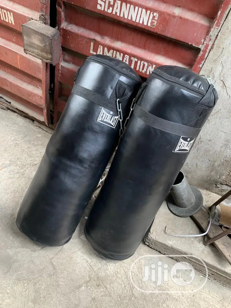 Everlast Punching Bag