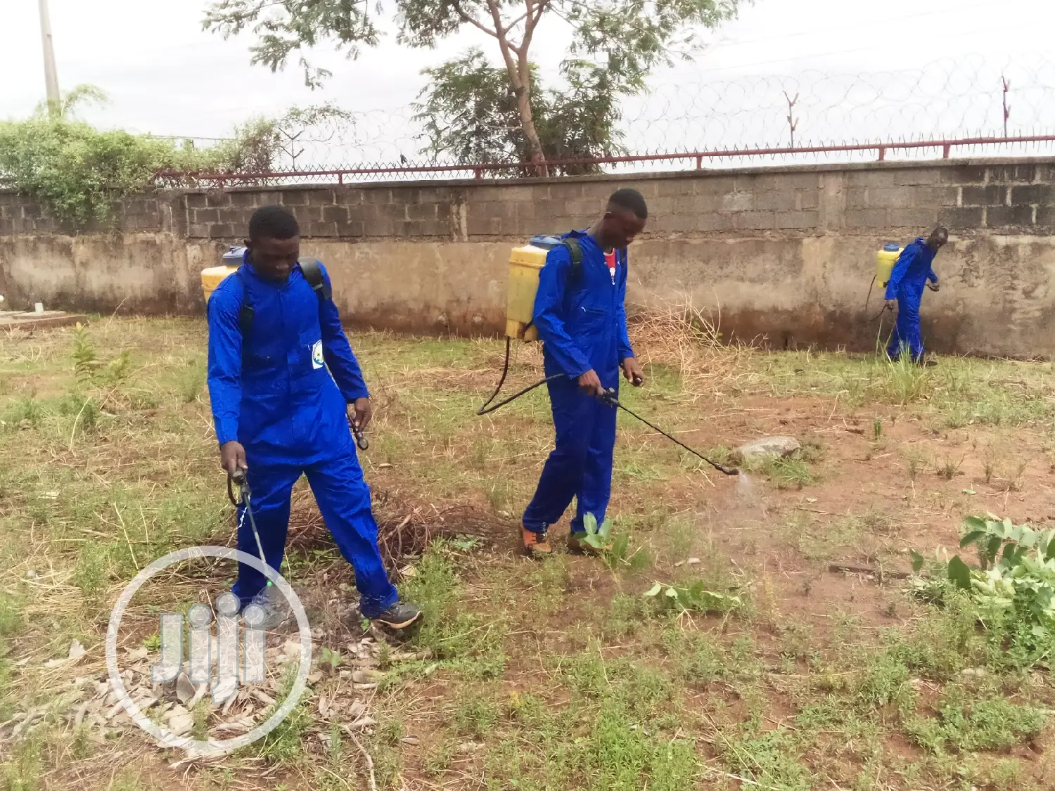 Cleaning And Fumigation Services