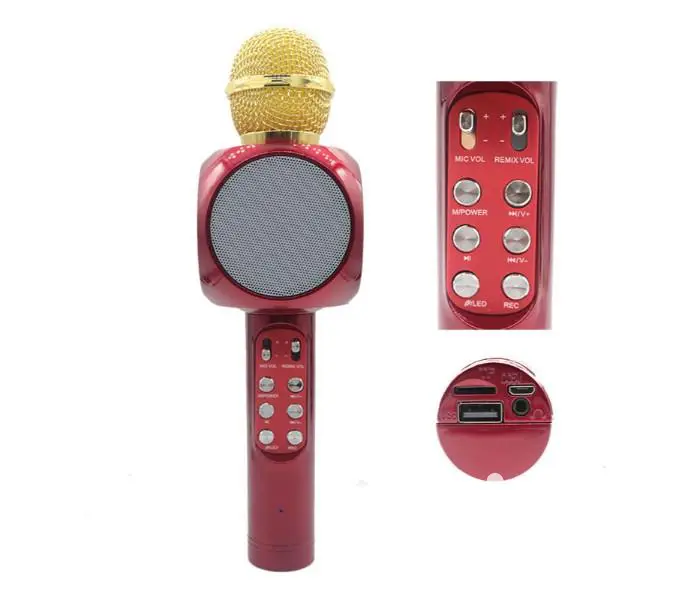 Karaoke Bluetooth Speaker