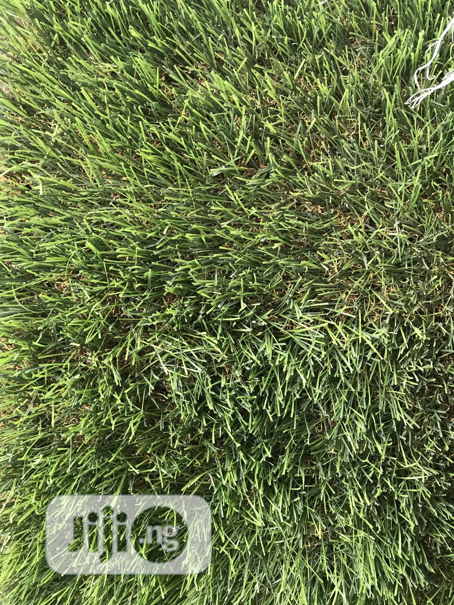 Quality Grass For Indoor And Outdoor Use