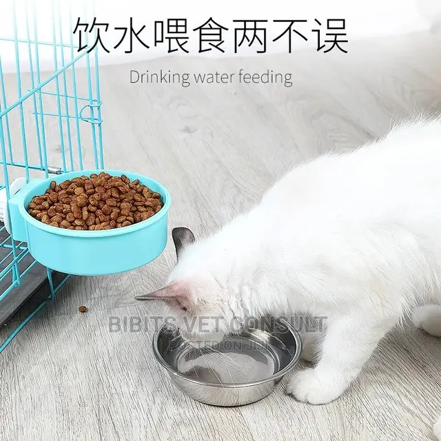 2 In 1 Candy Color Stainless Steel Pet Hanging Bowl