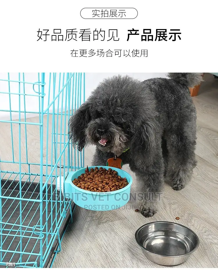 2 In 1 Candy Color Stainless Steel Pet Hanging Bowl