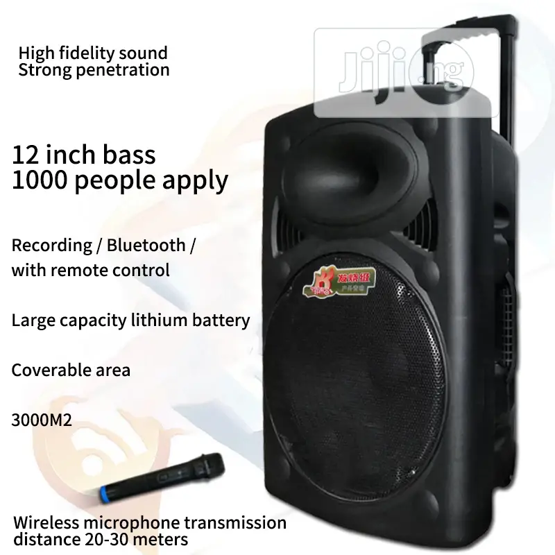 Rechargeable P. A With Bluetooth and USB With 2 Mic