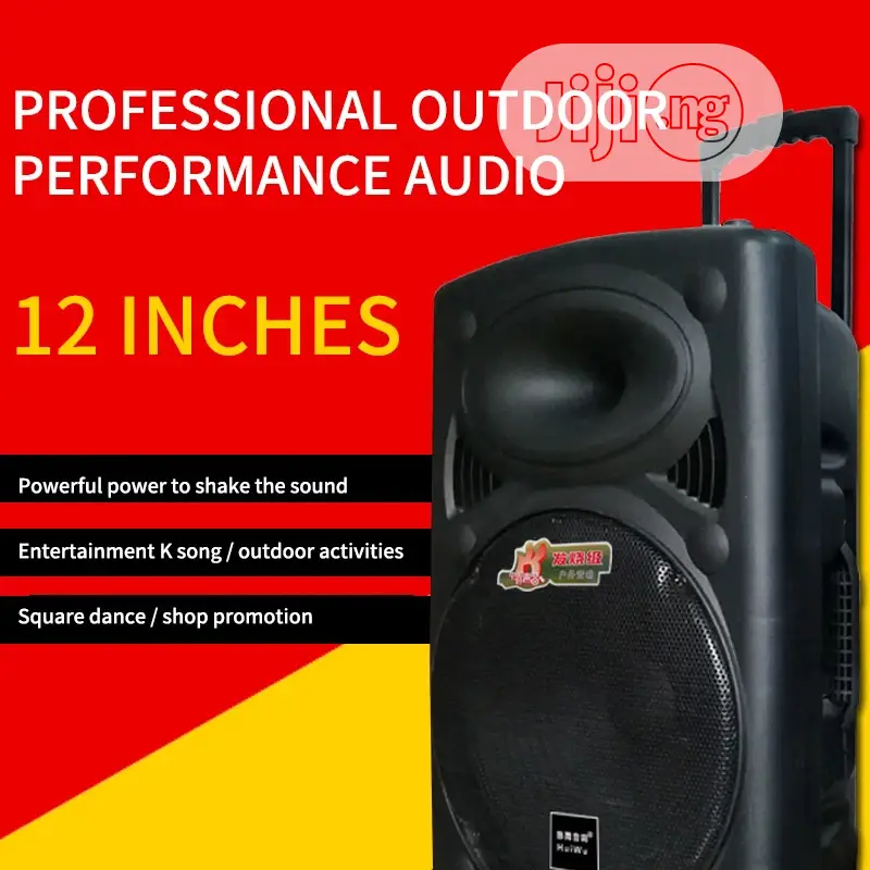 Rechargeable P. A With Bluetooth and USB With 2 Mic