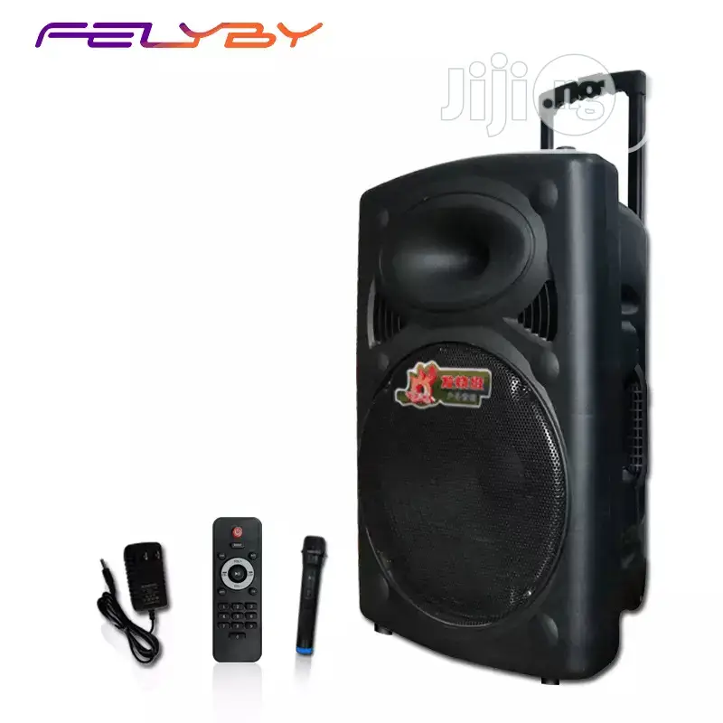 Rechargeable P. A With Bluetooth and USB With 2 Mic