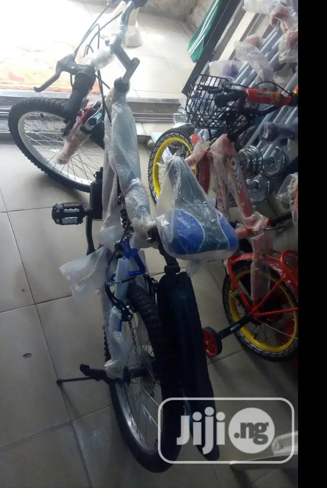 Adult Biscycle