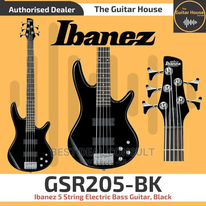 Ibanez Five String Base Guitar
