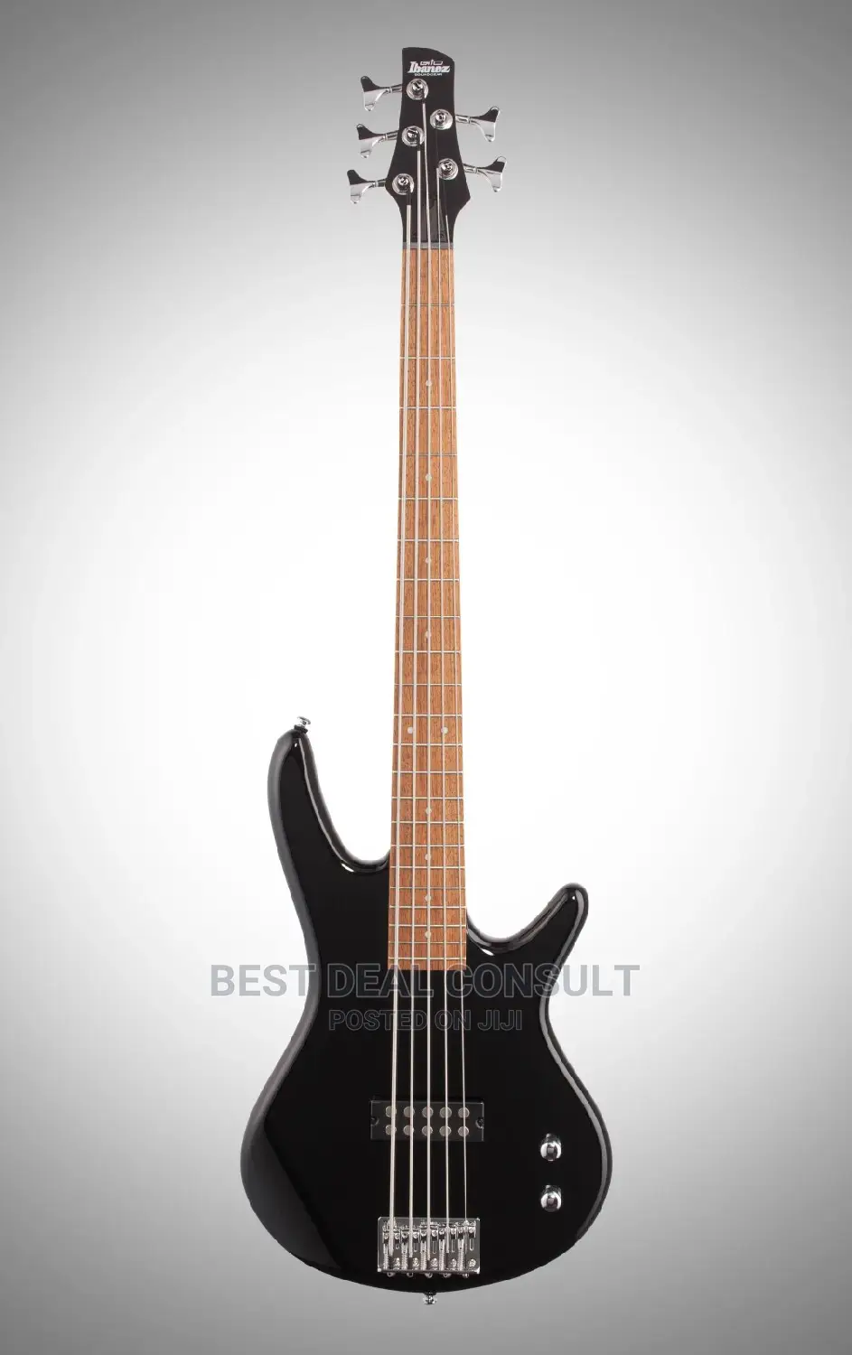 Ibanez Five String Base Guitar