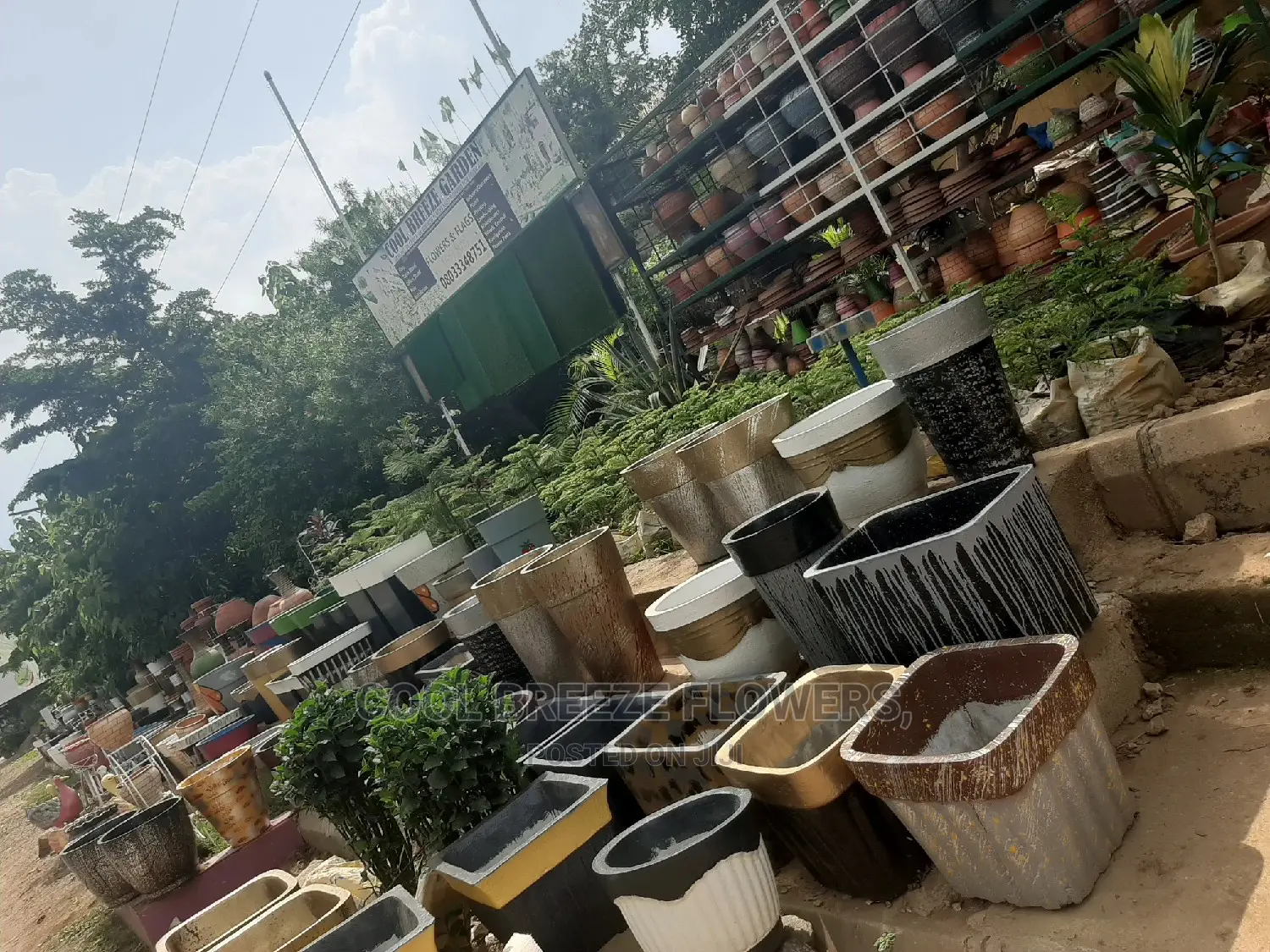Poted Plants To Purify The Air