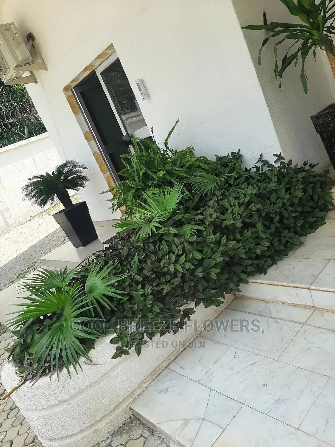 Flowers To Beautify Ur Environment