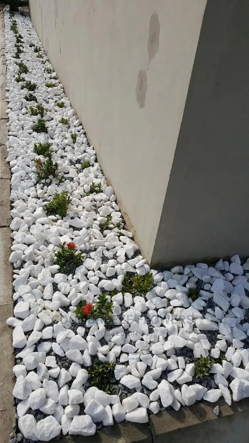 Flowers To Beautify Ur Environment