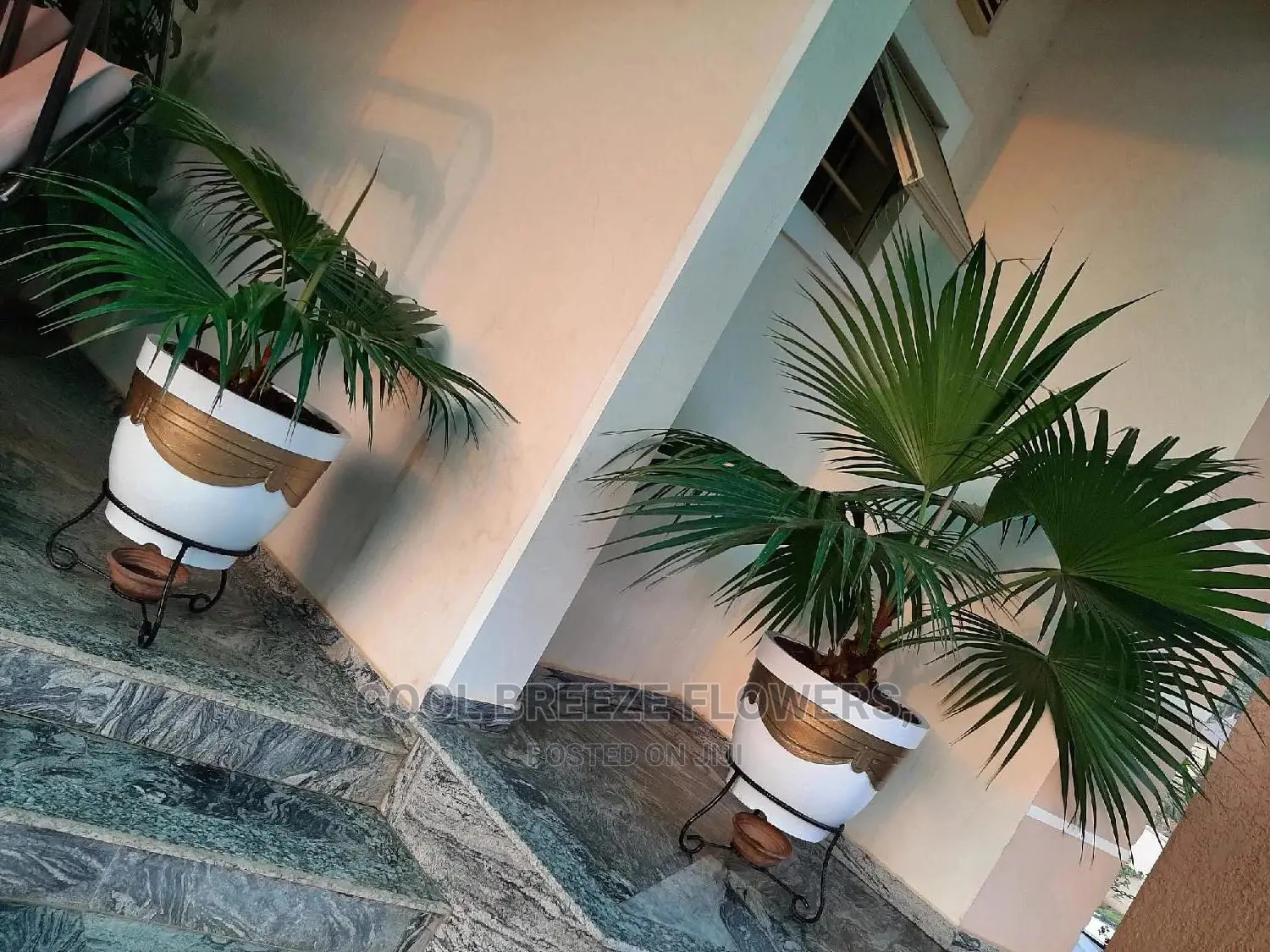 Flowers To Beautify Ur Environment