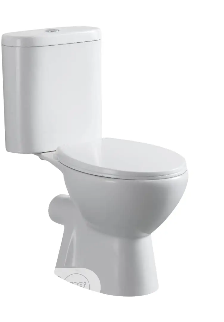 Water Closet Top Flushing With Power Flush Machasin
