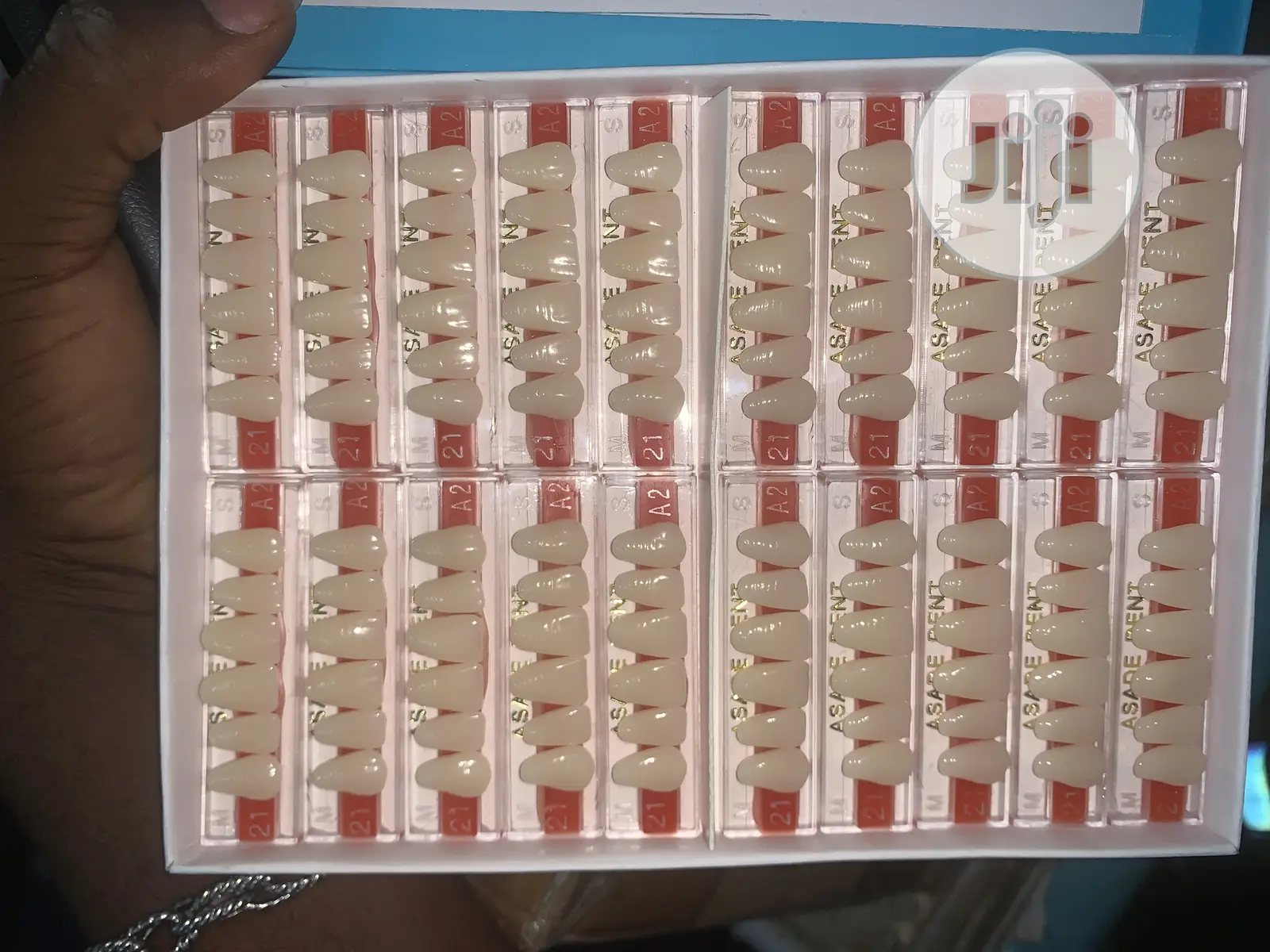 Dental Teeth or Acrylic Teeth