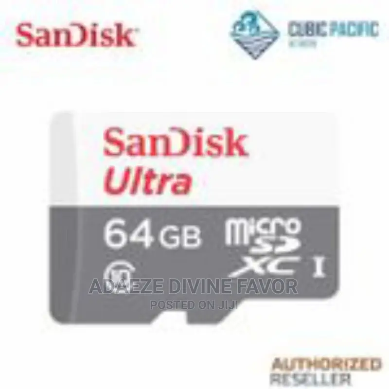 64 GB Sandisk Ultra Microsdxc