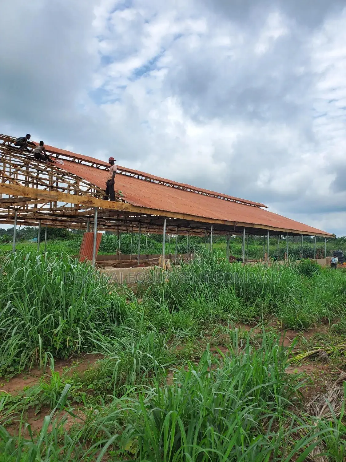 We Build Poultry Pen Structure for Birds With Cages at ₦40M