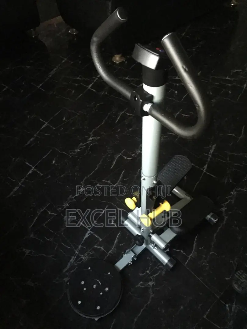 504 Standing Stepper With Stepper, Twister And Dummbell Sy0