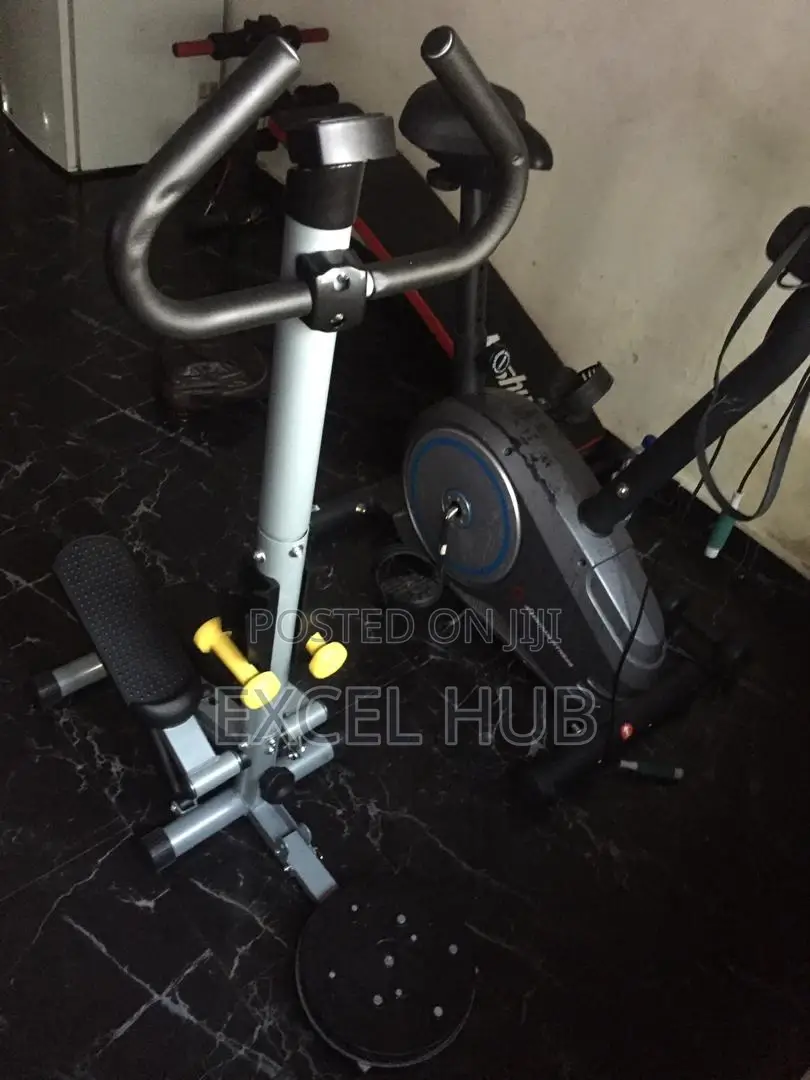 504 Standing Stepper With Stepper, Twister And Dummbell Sy0