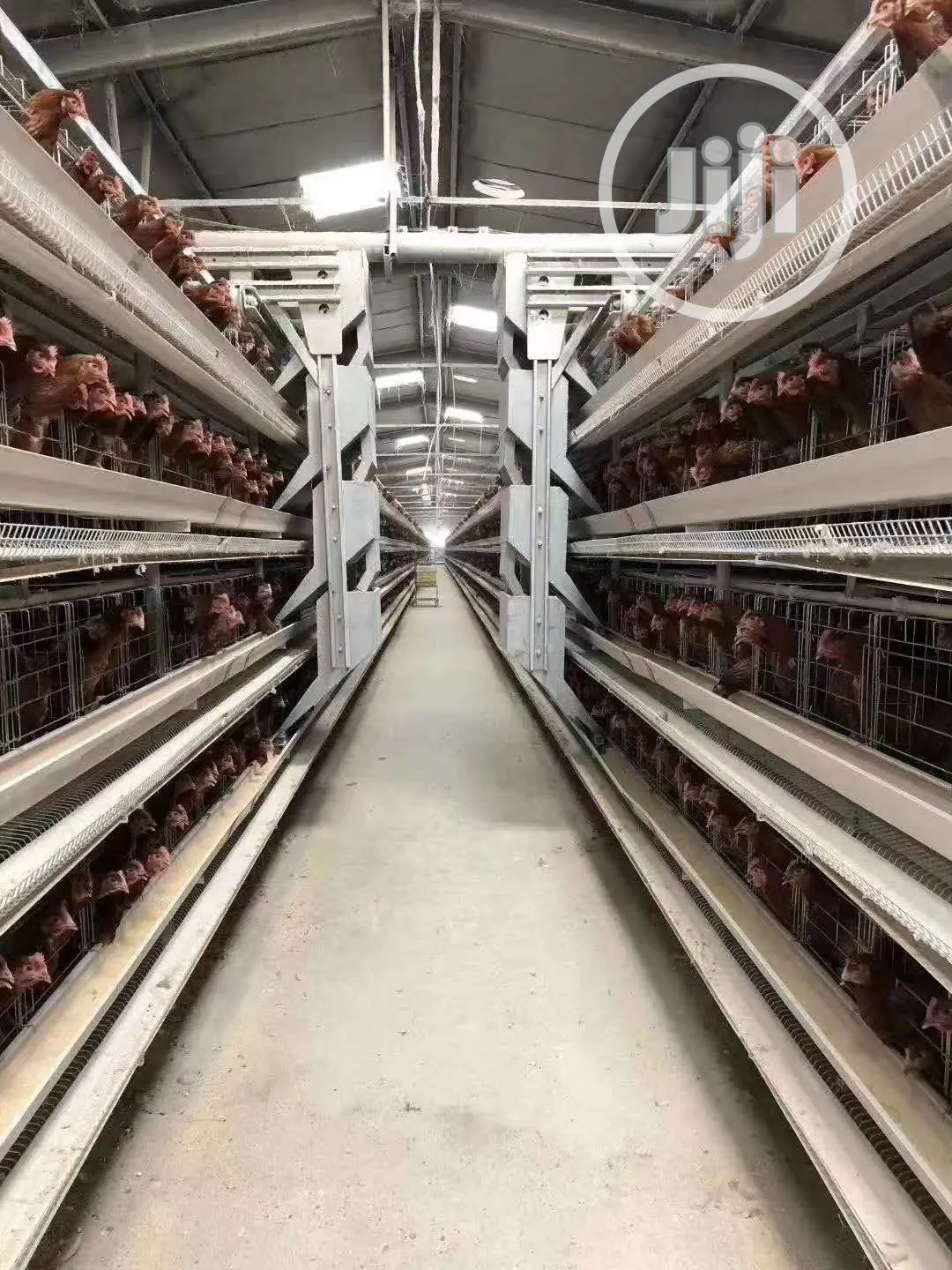China Factory H Type Automatic Battery Cage Best Quality Cag