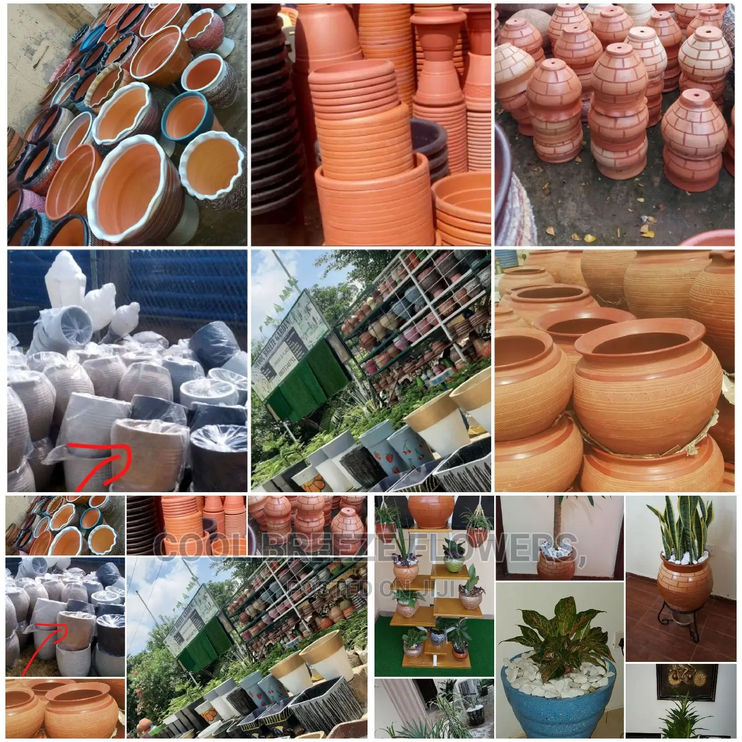 Beatuful Flowers And Pots For Indoor & Outdoor Plants