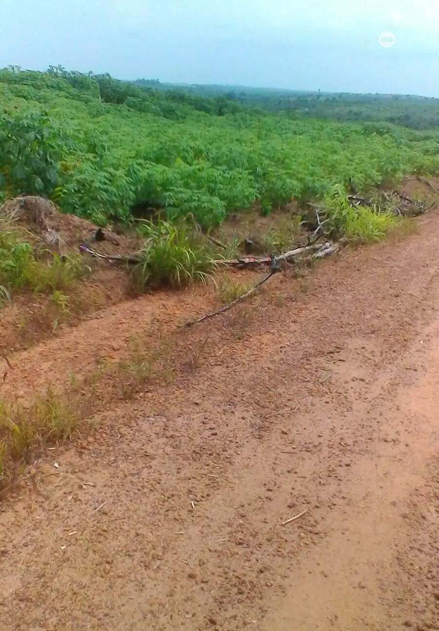 Plots of Land for Sale at Ibeju-Lekki,12mins Drive to Eleko