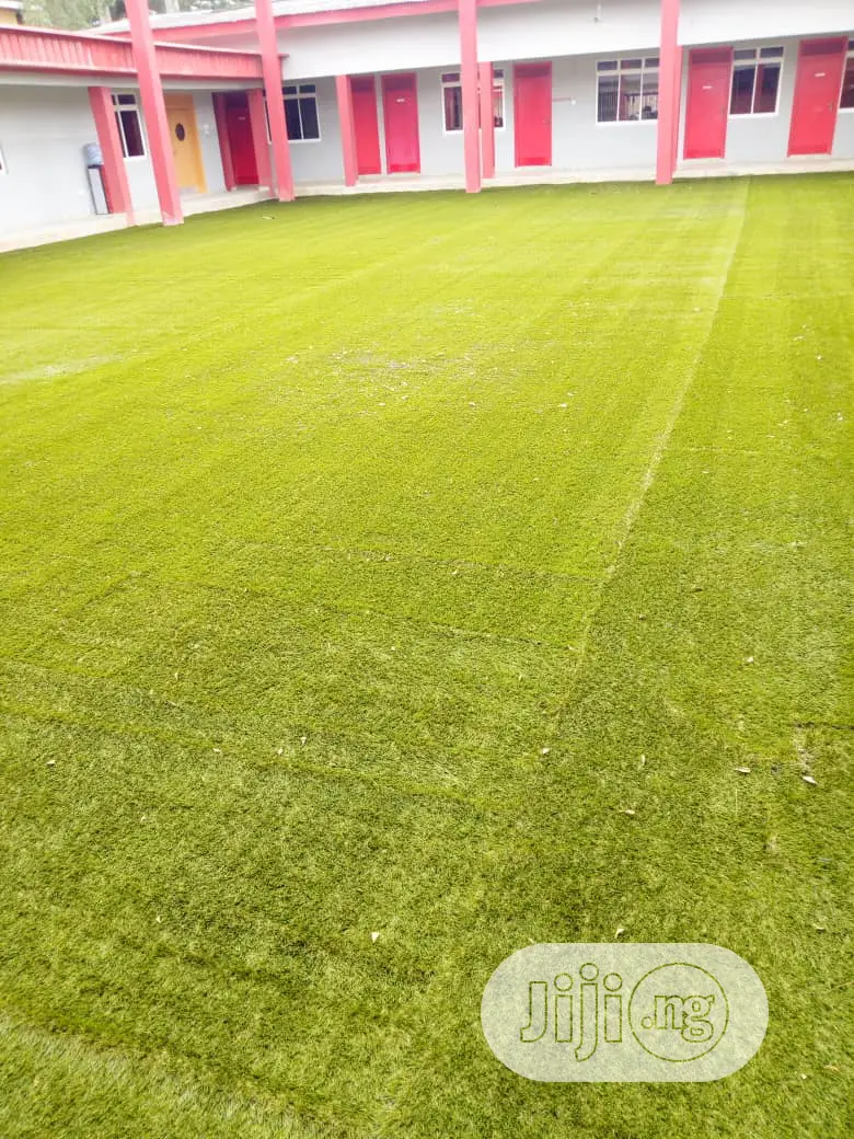 Astro Turf / Synthetic Grass/ Carpet Grass