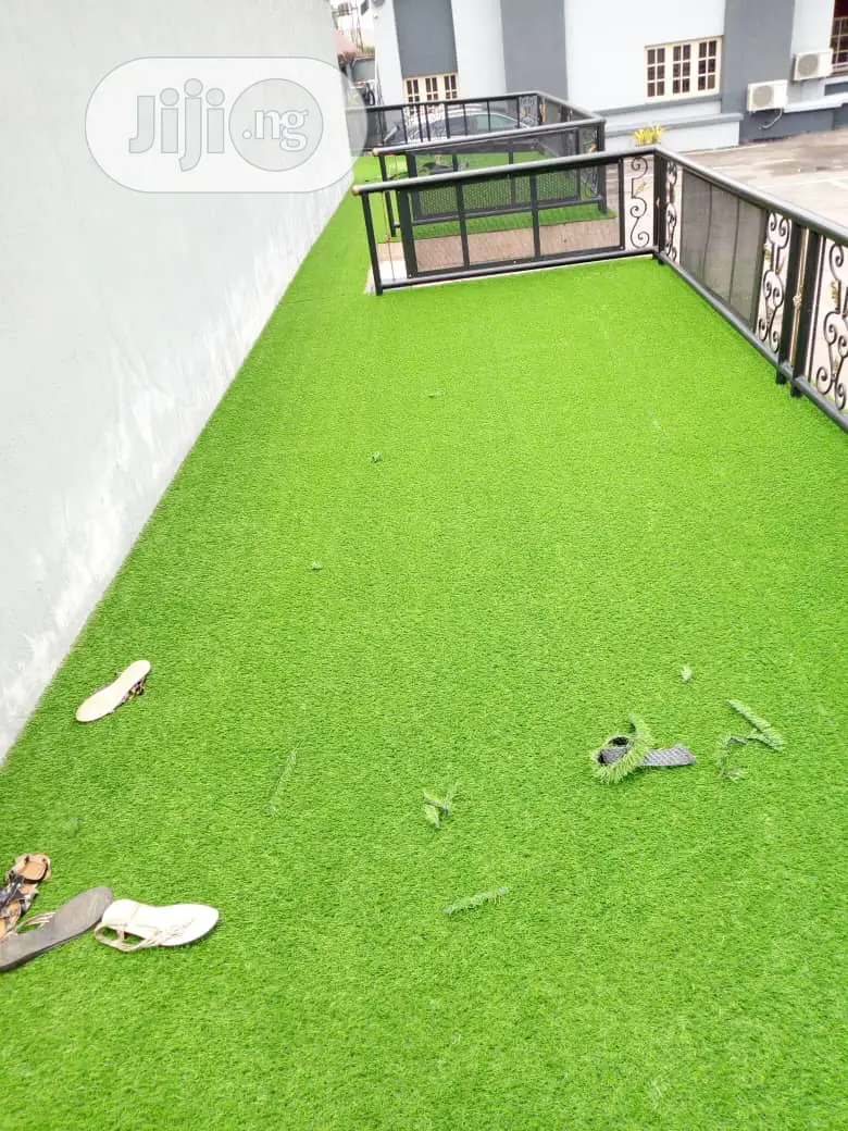 Astro Turf / Synthetic Grass/ Carpet Grass
