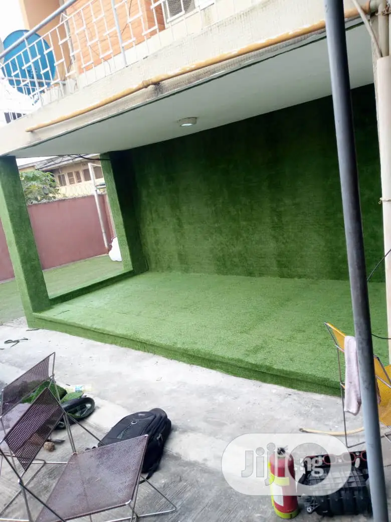 Astro Turf / Synthetic Grass/ Carpet Grass