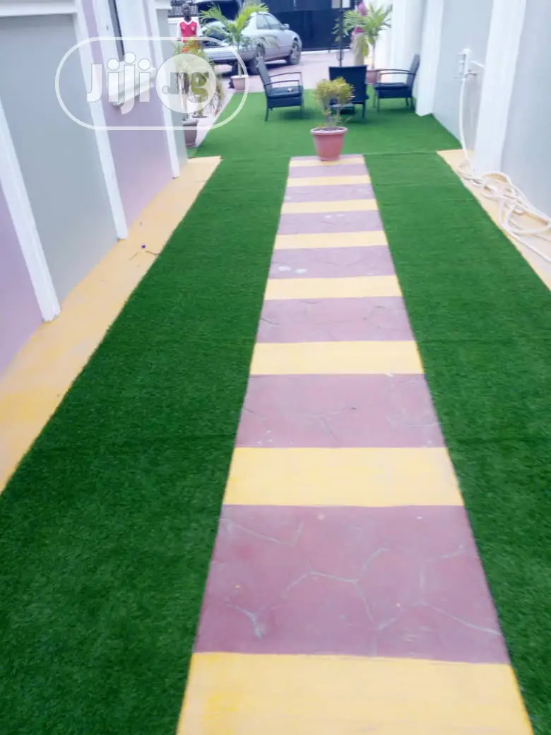Carpet Grass / Synthetic Grass/ Grass