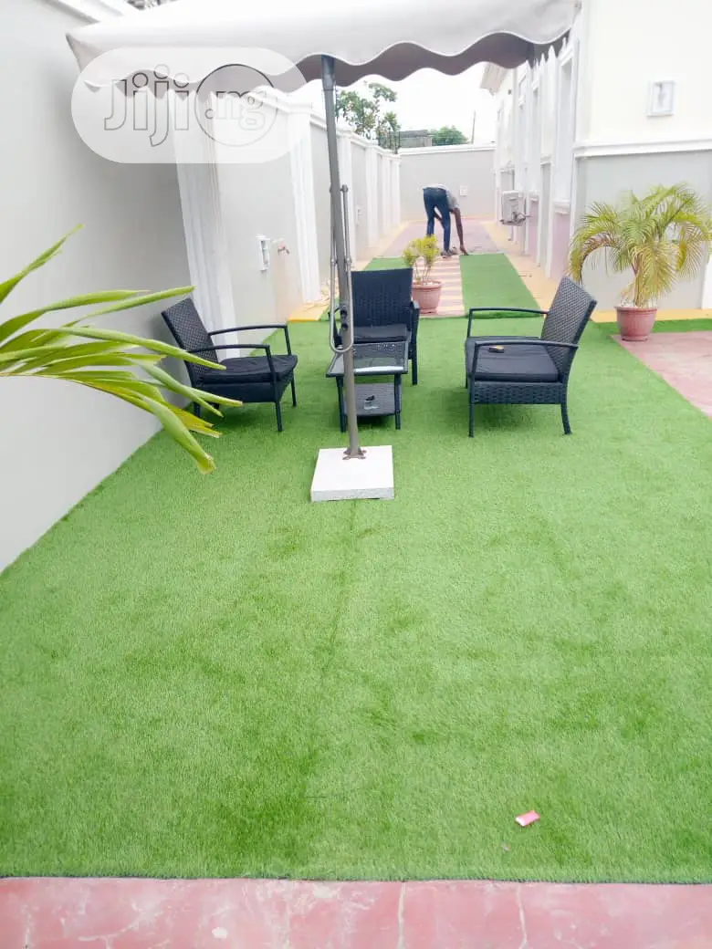 Carpet Grass / Synthetic Grass/ Grass