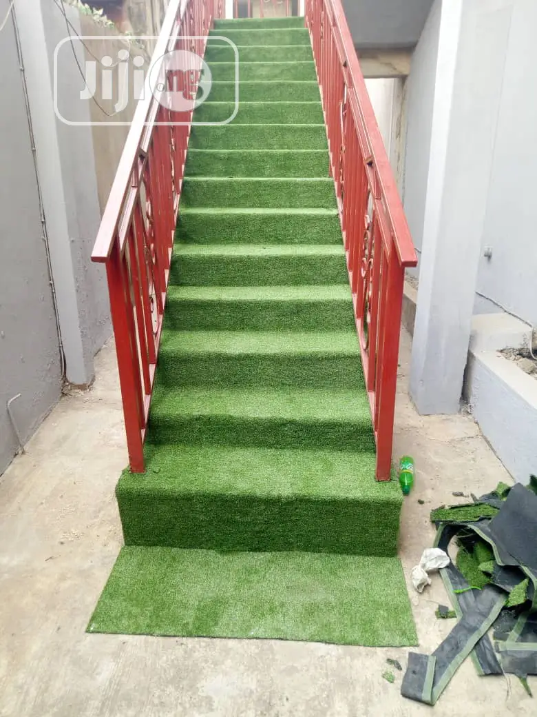 Carpet Grass / Synthetic Grass/ Grass