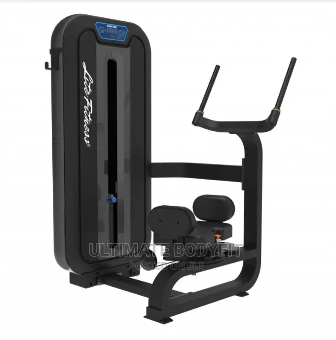 Brand LD8018 Rotary Torso Machine
