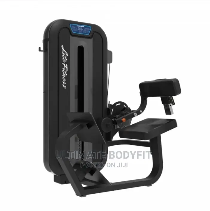 Brand New LD8031 Back Extension Machine
