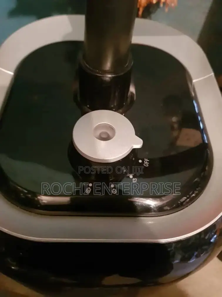 Garment Steamer