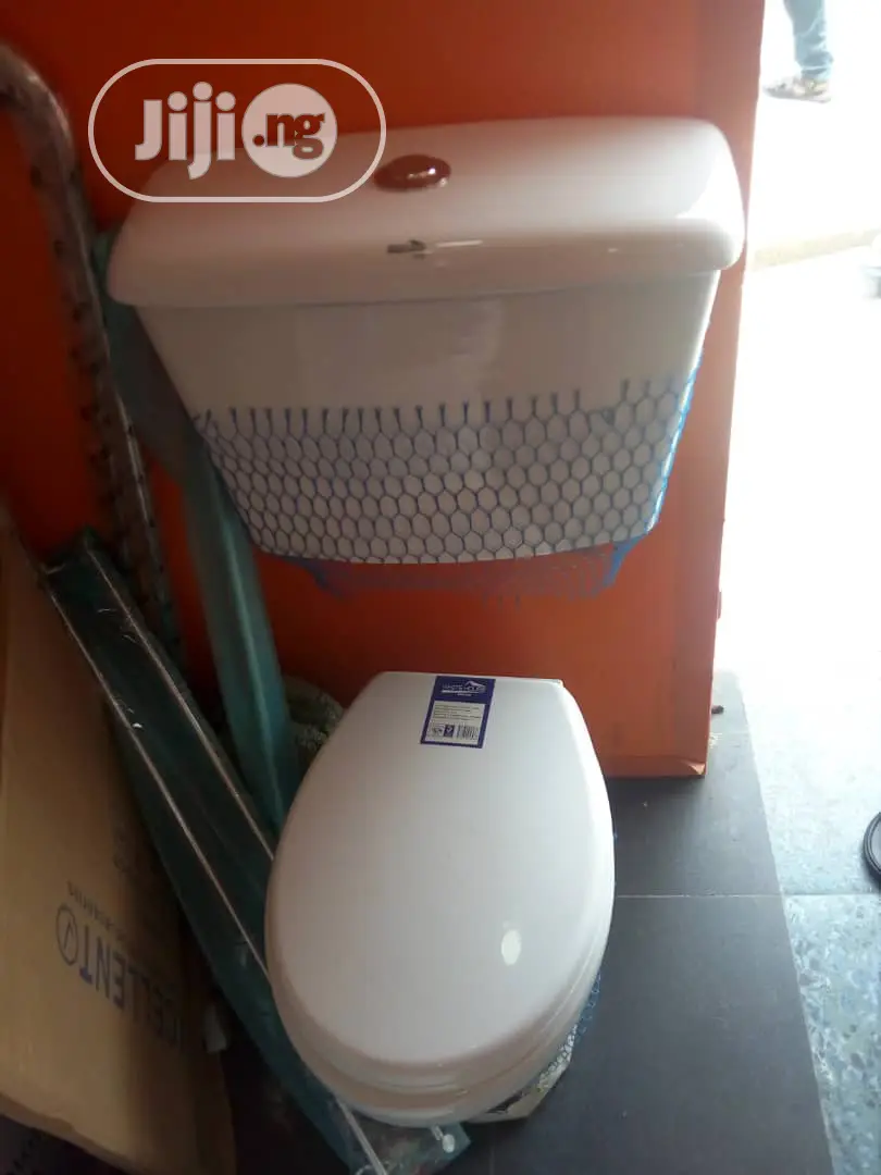 Basin and Pedestal