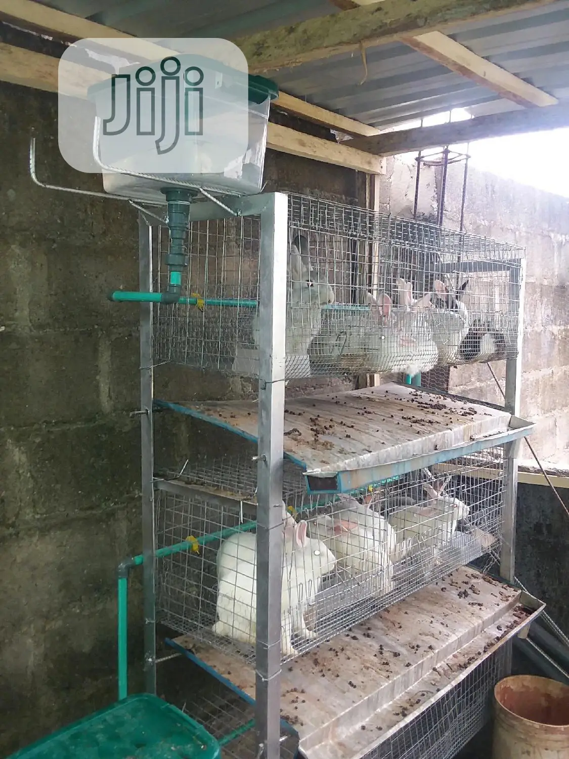 Rabbit Cage With Automatic Drinkers and Pee Collector