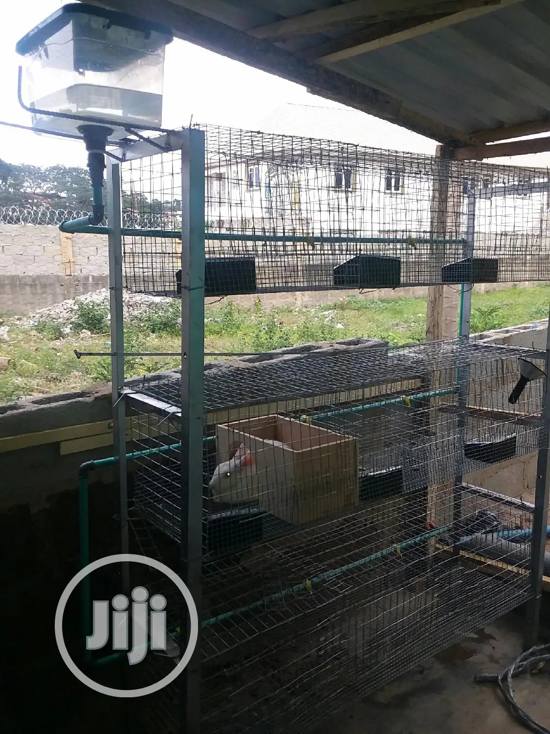 Rabbit Cage With Automatic Drinkers and Pee Collector