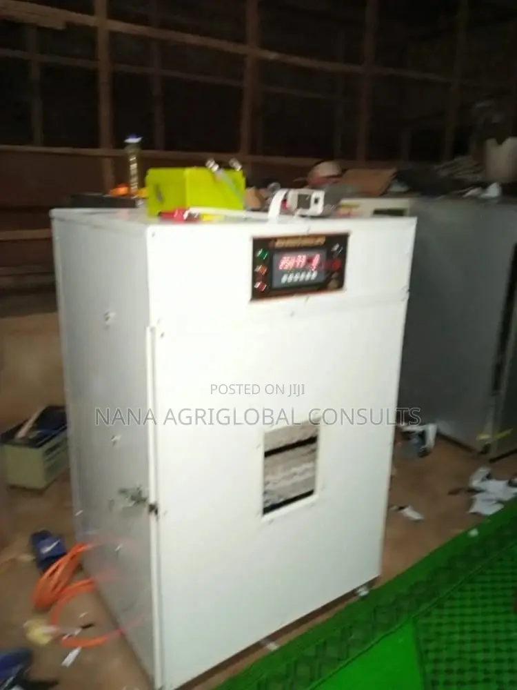 Incubator 500 Capacity Automatic Can Use Gas Electricity