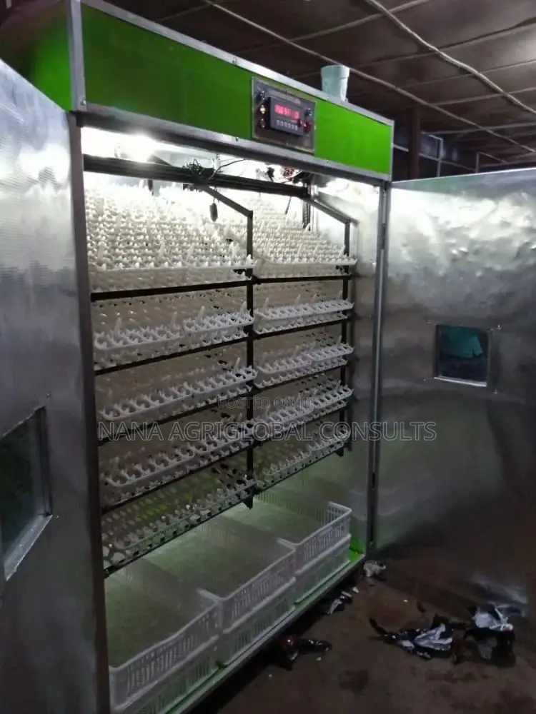 Incubator 500 Capacity Automatic Can Use Gas Electricity